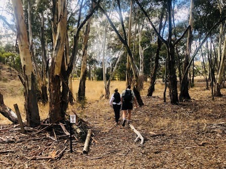 Clare Valley Wine & Wilderness Trail Guided Walks