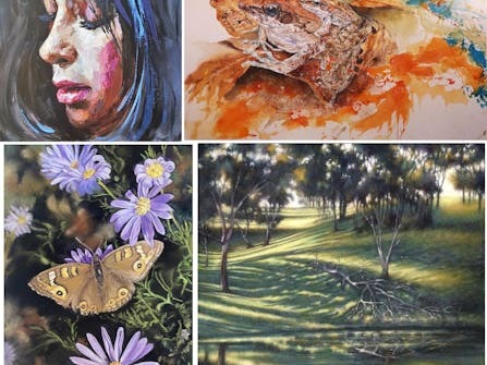 The Rotary Art Exhibition at Clare Town Hall