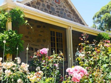 Health in the Vines Health Coaching Retreat