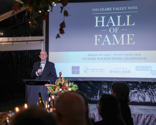 Chair: Mitchell Taylor at the Hall of Fame Gala Dinner