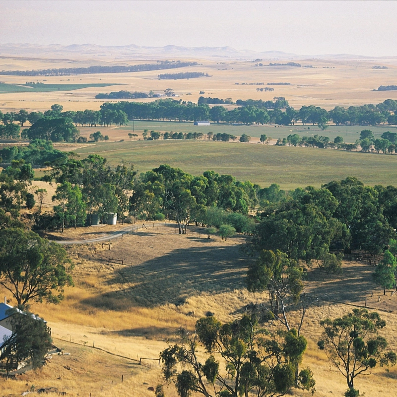 Rolling clare landscape