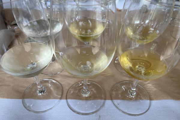 Turning Point Oz Wine Review