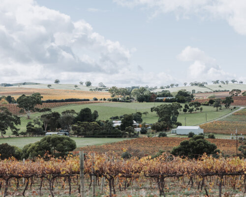 Hall of Fame O Leary Walker Wines View