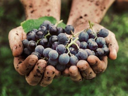 Skillogalee's Harvest Feast