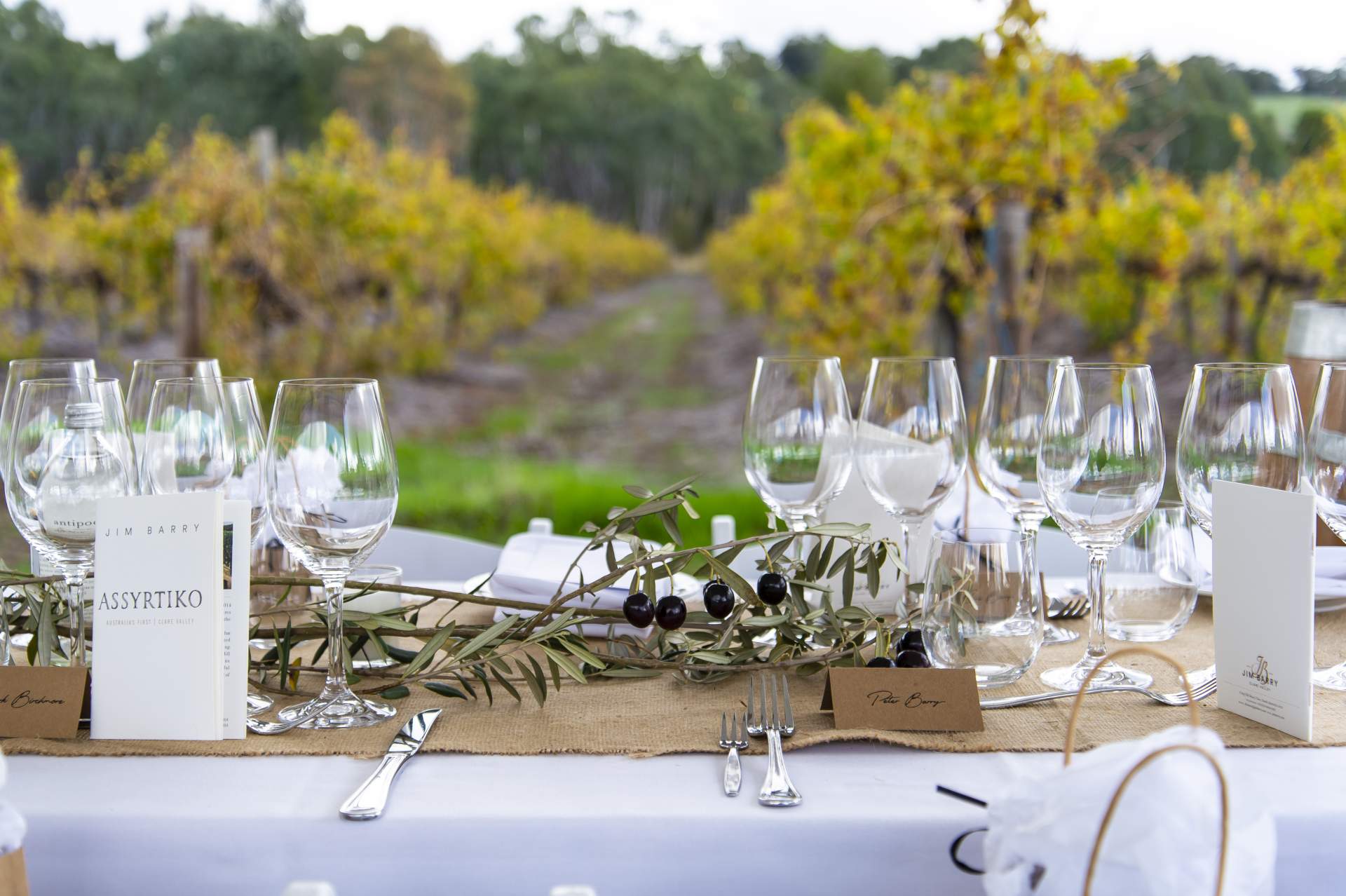 290 Jim Barry Wines Gourmet Event