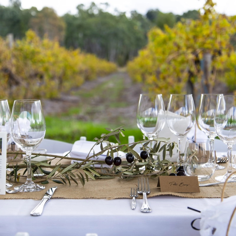 290 Jim Barry Wines Gourmet Event